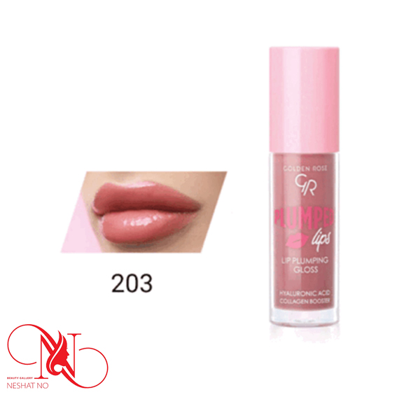 رژ لب مایع گلدن رز حجم دهنده شماره 203 رژ لب مایع گلدن رز حجم دهنده شماره 203